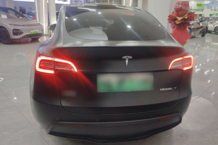 Used Tesla Model Y 2021 Standard Range Rear-Wheel Drive Version