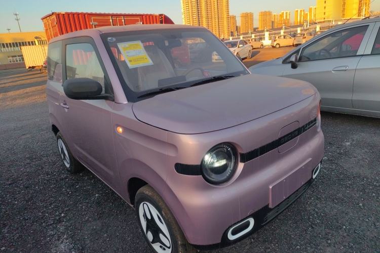 Used  Panda 2025 210 km – Yuanqi Bear
