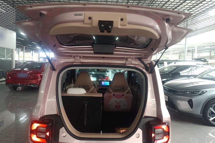 Used  Panda 2023 Panda Mini 200km Endurance Bear
