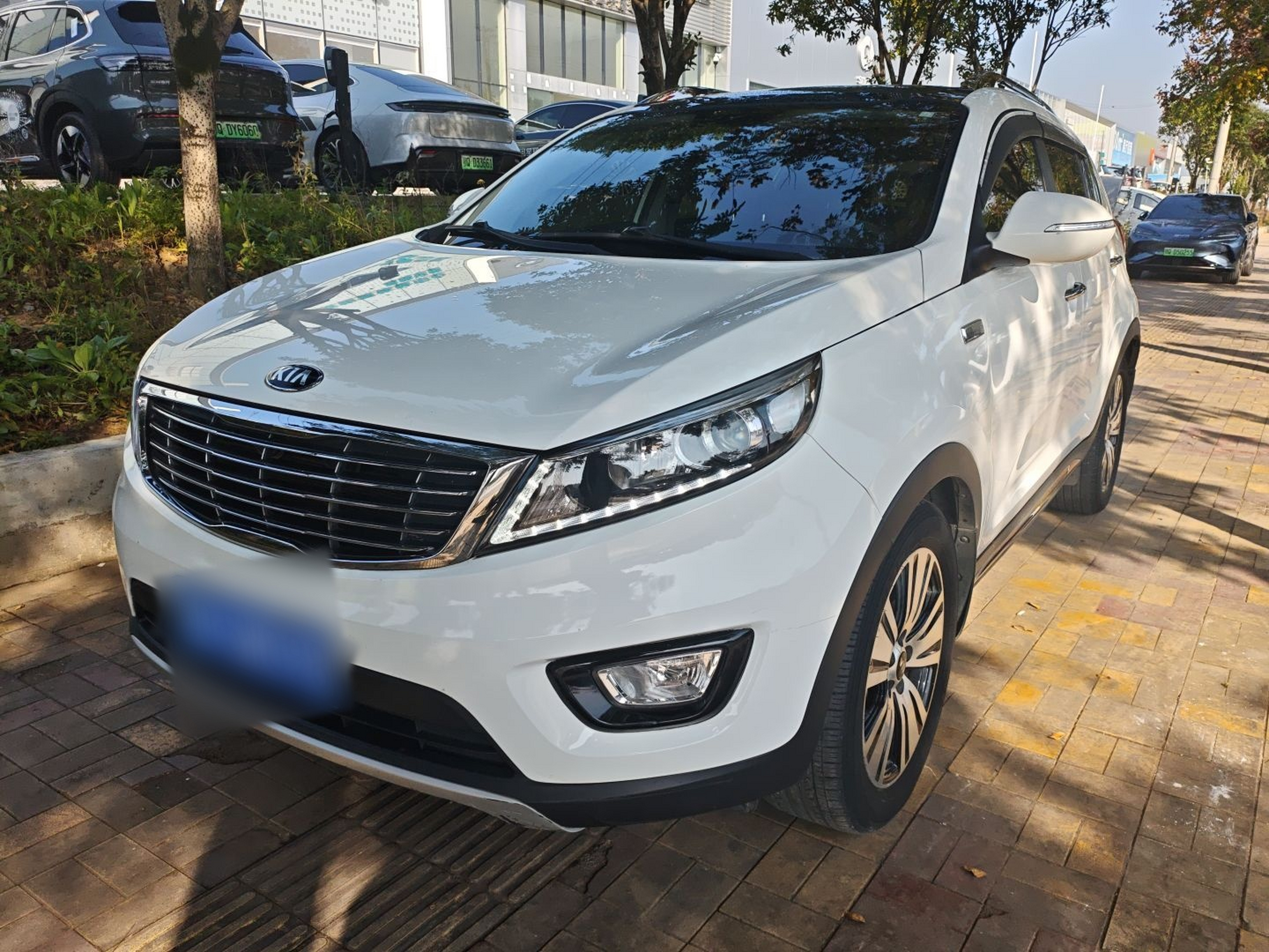 تحت مقدمة السيارة