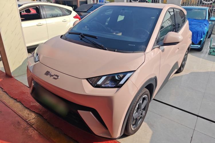 Used BYD Seagull 2024 Honor Edition 305km Freedom Version
