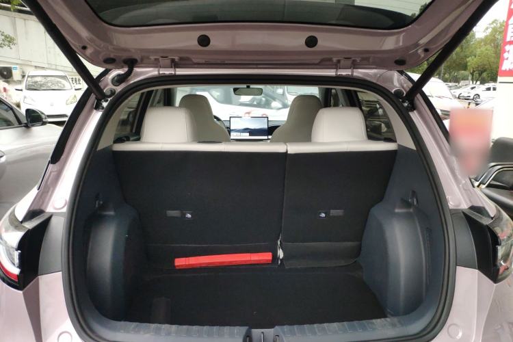 Used  Geome 2025 310km Dream Edition