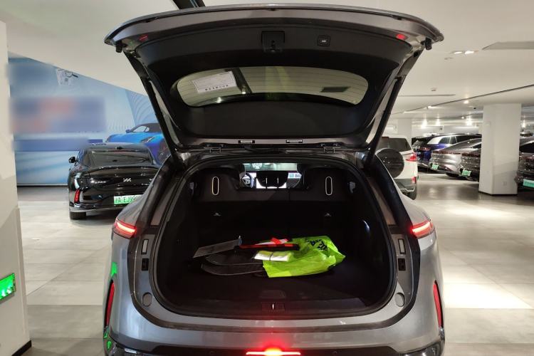 Used  07 2024 Max Extended-Range Edition
