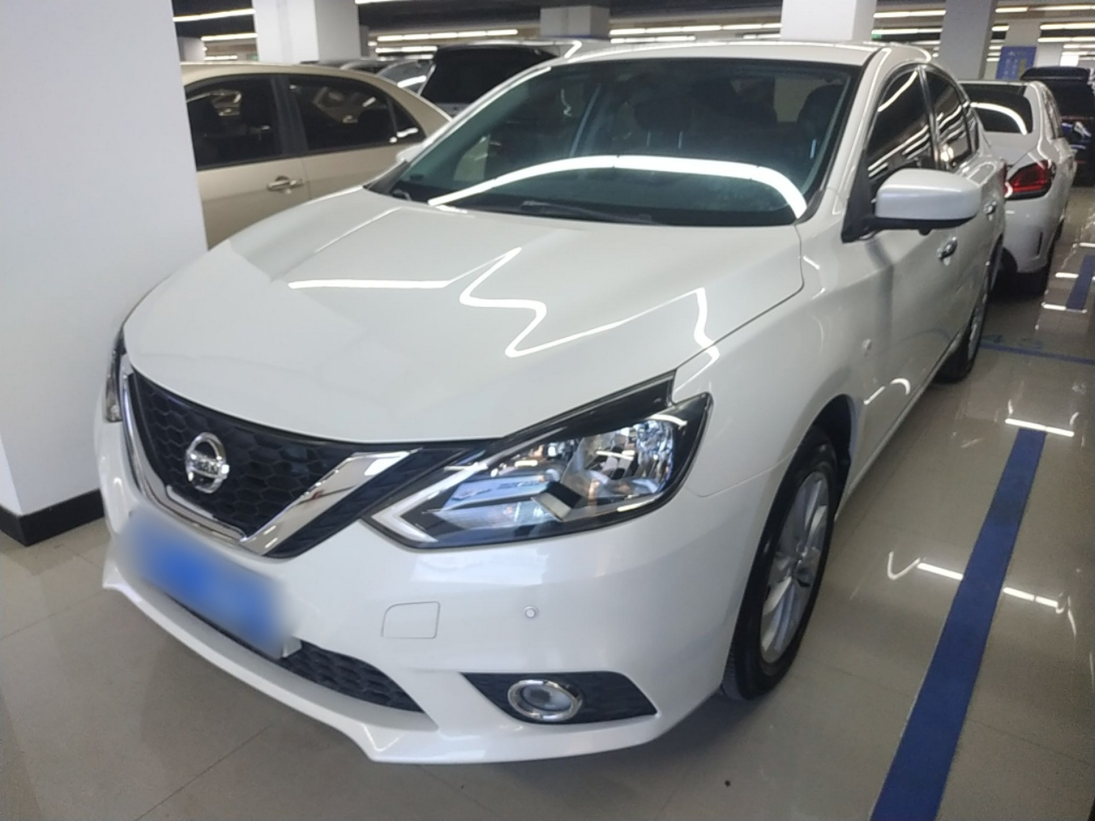 تحت مقدمة السيارة