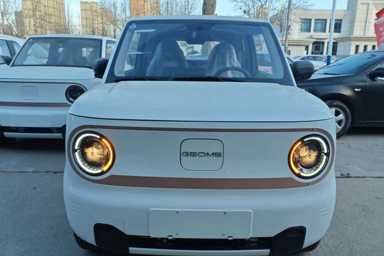 Used  Panda 2024 Panda Mini 200km Endurance Bear