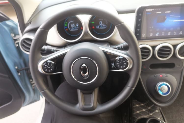 Used ORA Black Cat 2019 351 km Goddess Edition
