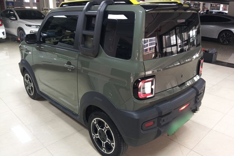 Used  Panda 2024 200km Panda Rider