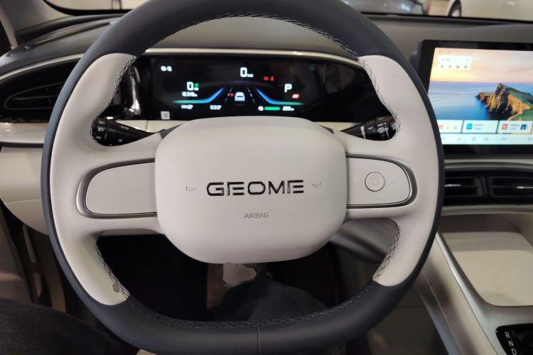 Used  Geome 2025 310km Youth Edition
