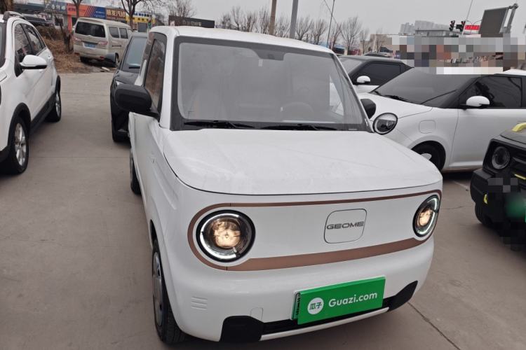 Used  Panda 2024 Panda Mini 200km Endurance Bear