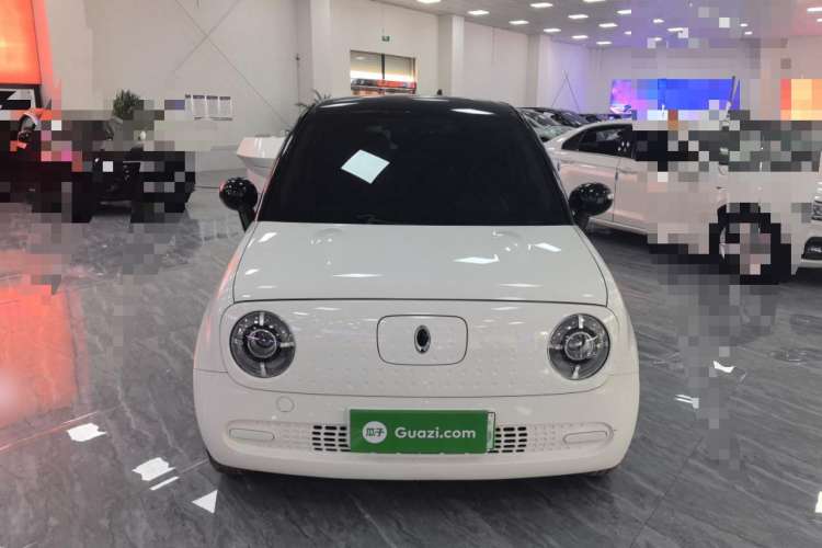 Used ORA Black Cat 2019 310km Fun Edition
