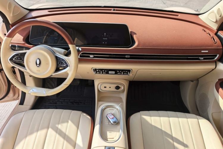 Used ORA Good Cat 2023 401 km Standard Range Luxury Version Lithium Iron Phosphate
