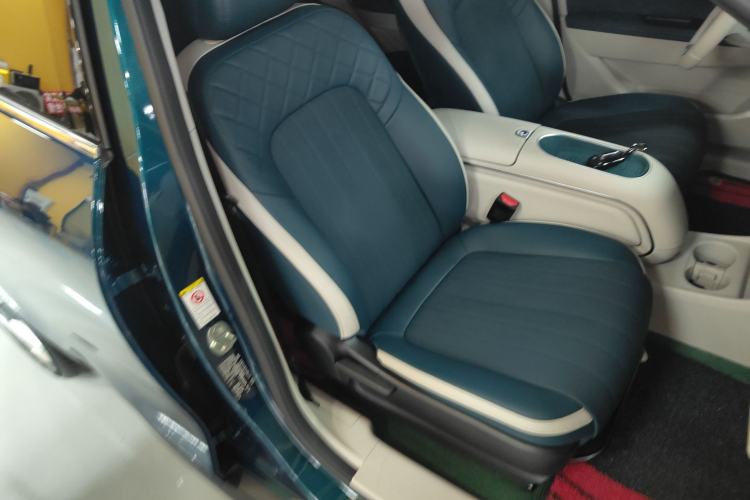 Used ORA Good Cat 2023 401 km Standard Range Luxury Version Lithium Iron Phosphate
