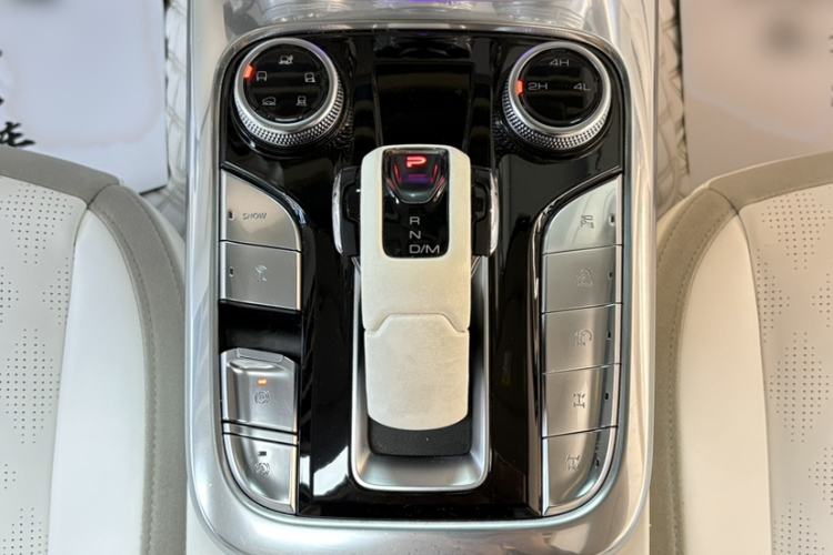 Used  Tank 300 2021 2.0T Cyber Tank
