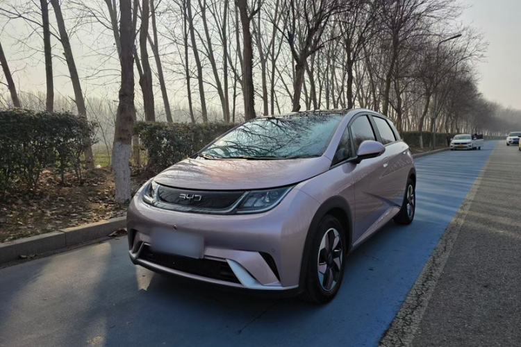 Used BYD Dolphin 2023 420 km Fashion Edition
