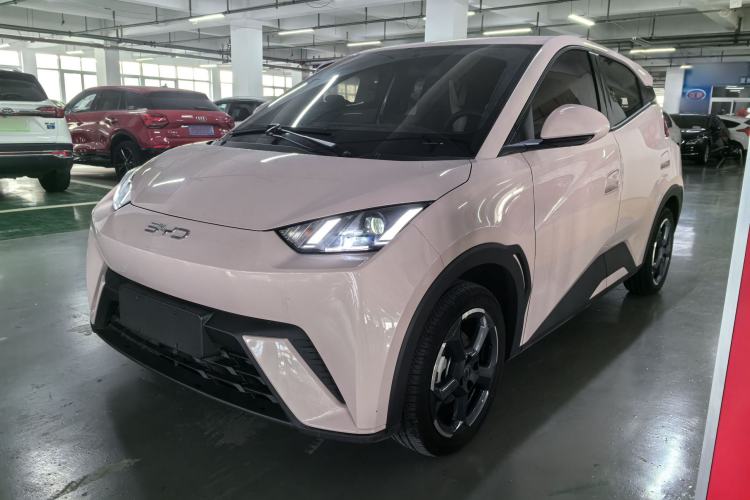 Used BYD Seagull 2024 Honor Edition 305km Freedom Version
