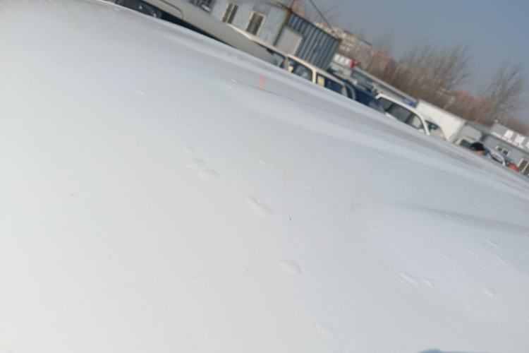 Used  Panda 2025 210 km – Yuanqi Bear
