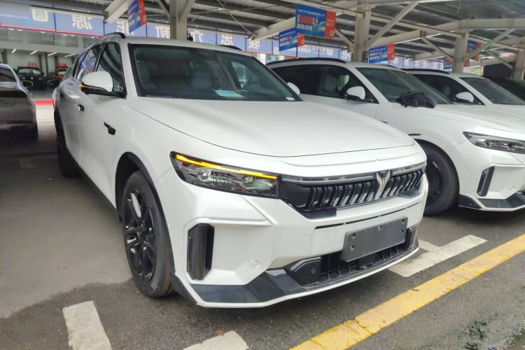 Used VOYAH FREE 2025 318 318 km Rear-Drive Touring Edition