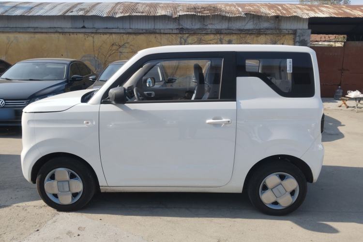 Used  Panda 2024 Panda Mini 200km Endurance Bear
