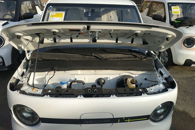 Used  Panda 2025 210 km – Yuanqi Bear
