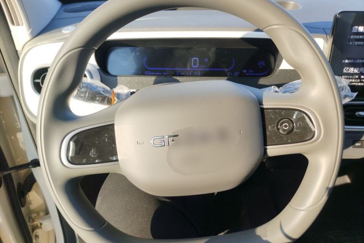 Used  Panda 2025 210 km – Yuanqi Bear
