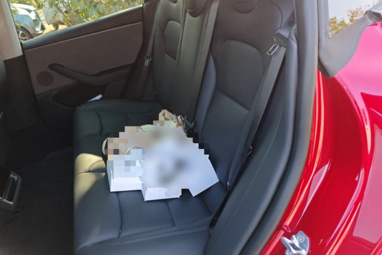 Used Tesla Model 3 2025 Rear-Wheel-Drive Version