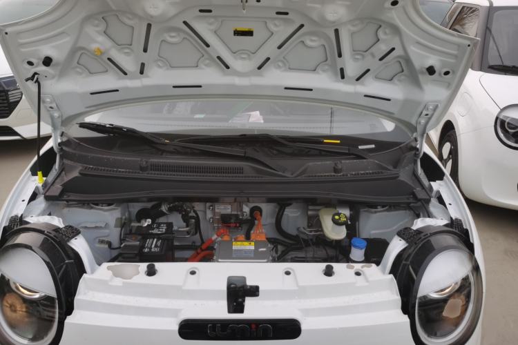 Used  Lumin 2025 205 km Xiangqin Version
