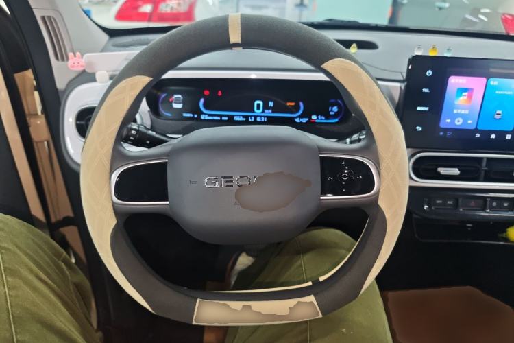 Used  Panda 2025 210 km – Yuanqi Bear