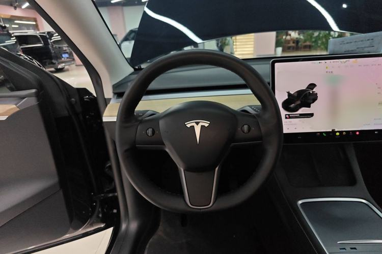 Used Tesla Model Y 2021 Standard Range Rear-Wheel Drive Version
