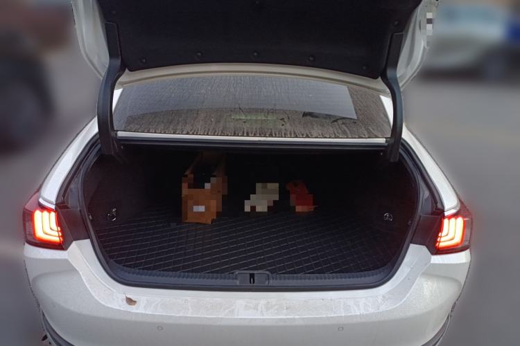 Used Lexus ES 2022 200 Excellence Edition