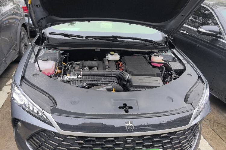 Used BYD Qin PLUS 2025 DM-i Smart Drive 55KM Leading Model
