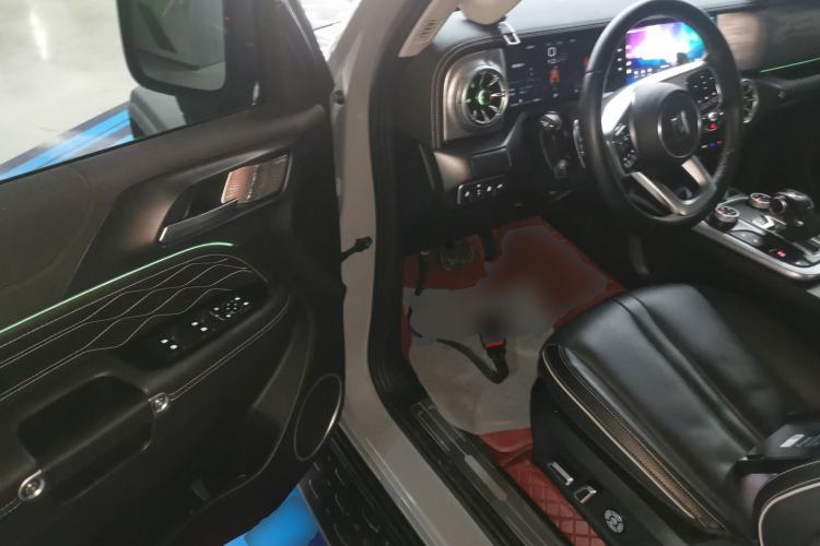 Used Tank 300 2024 2.0T Conqueror