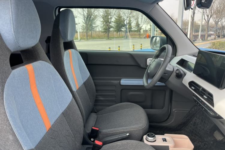 Used  Panda 2023 Panda Mini 200km Endurance Bear
