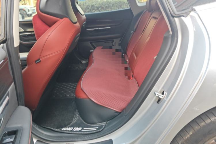 Used XPeng P7 2020 670N
