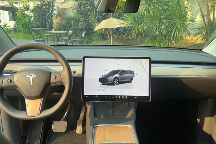 Used Tesla Model Y 2022 Long-Range All-Wheel-Drive Version
