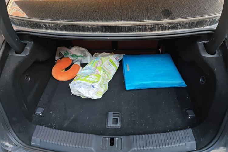 Used Hongqi H9 2020 2.0T Smart Connect Flagship Edition
