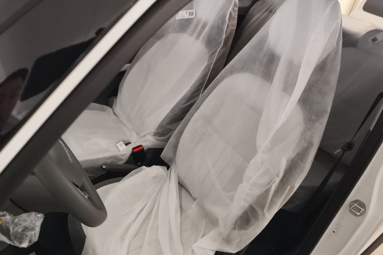 Used  Panda 2025 210km Panda Kart