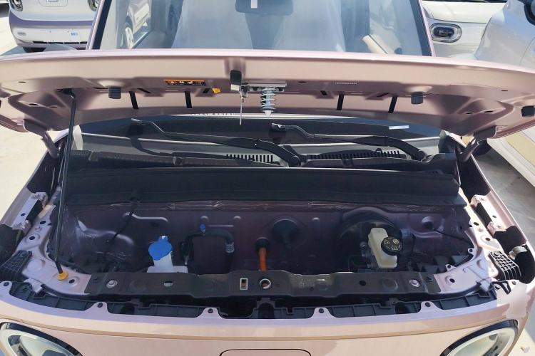 Used  Panda 2024 Panda Mini 200km Endurance Bear
