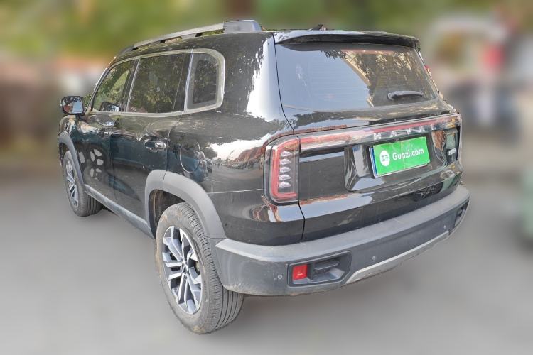 Used Haval DARGO 2024 1.5T DCT Border Collie Edition
