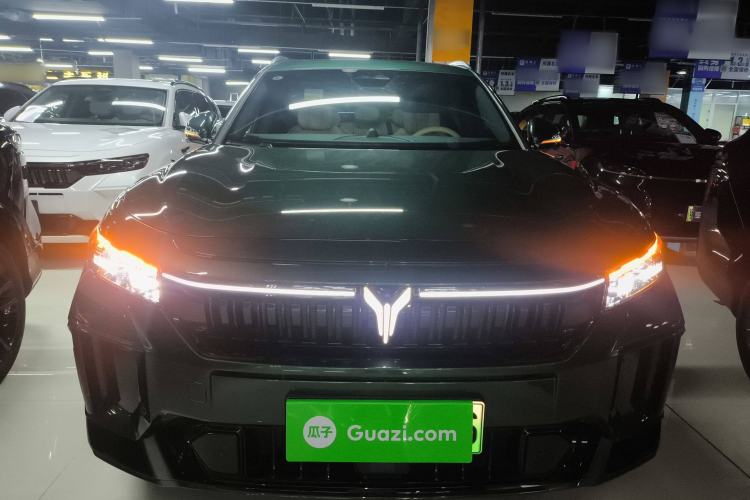 Used VOYAH FREE 2024 Ultra-Long Range Intelligent Driving Version
