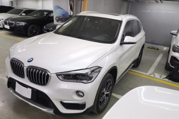 Used BMW X1 2019 xDrive20Li Luxury Model