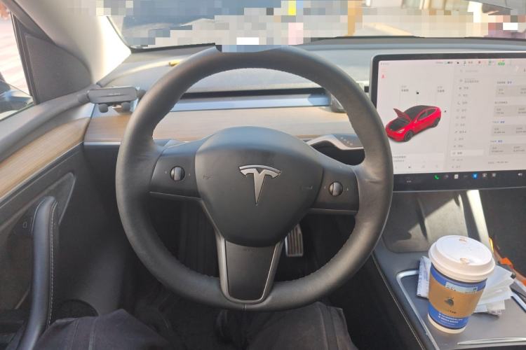 Used Tesla Model Y 2021 Standard Range Rear-Wheel Drive Version
