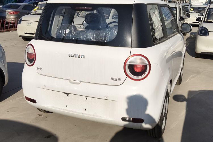 Used  Lumin 2025 205 km Xiangqin Version
