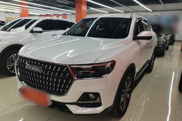 Used Haval H6 2023 National Trend Edition 1.5T Automatic Champion Version