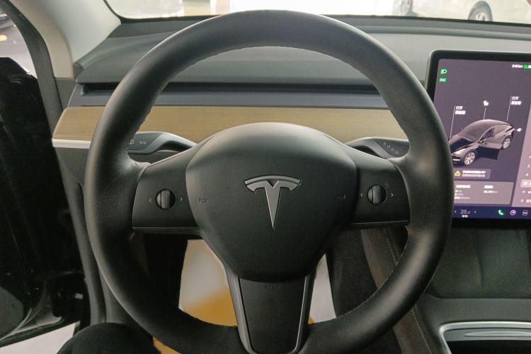 Used Tesla Model Y 2021 Standard Range Rear-Wheel Drive Version
