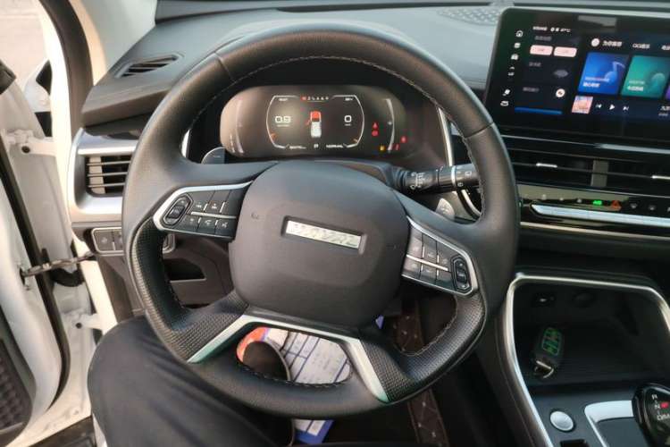 Used Haval H6 2021 National Trend Edition 1.5T Automatic Champion Version