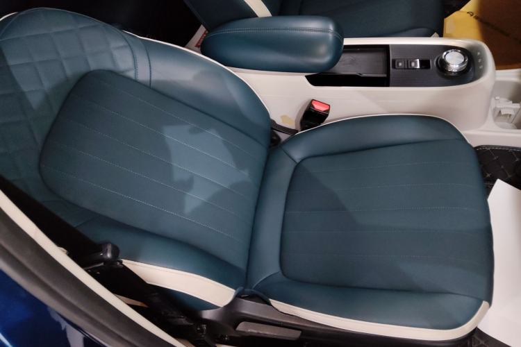 Used ORA Good Cat 2021 400km Standard Range Athena Edition Lithium-Ion Battery