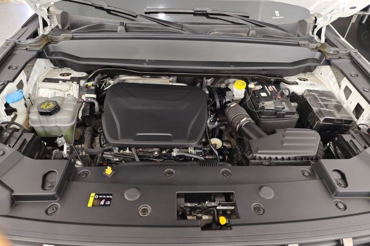 Used Haval X DOG 2022 1.5T DCT Two-Wheel Drive Trendy Edition
