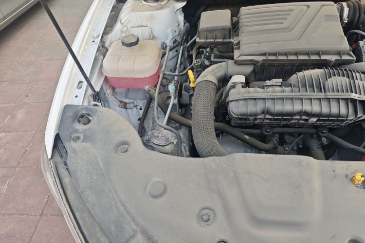 Used BYD Qin PLUS 2023 Champion Edition DM-i 55KM Leading Model
