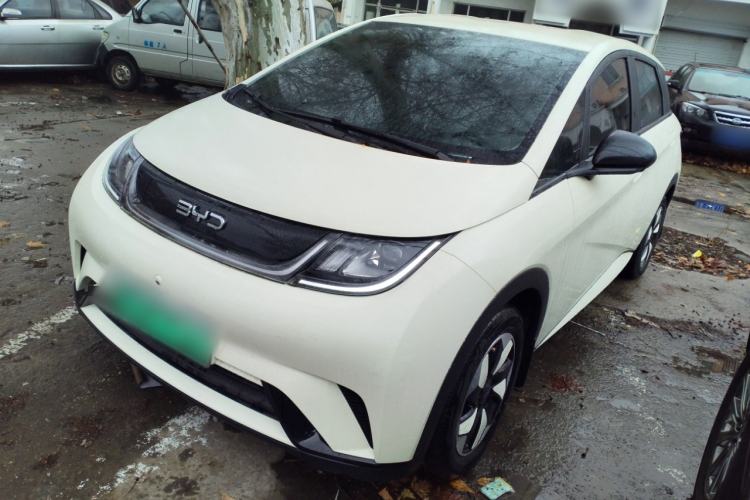 Used BYD Dolphin 2025 420km Free Edition