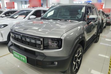 Used JETOUR Shanhai Shanhai T1 2025 150 km to the Lake